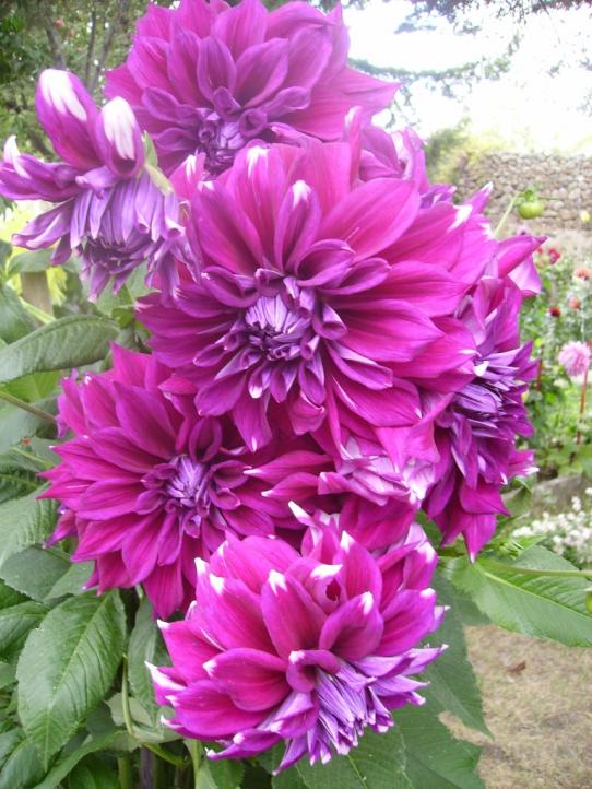 Name:  krll ak mor.jpg
Views: 796
Size:  76.0 KB