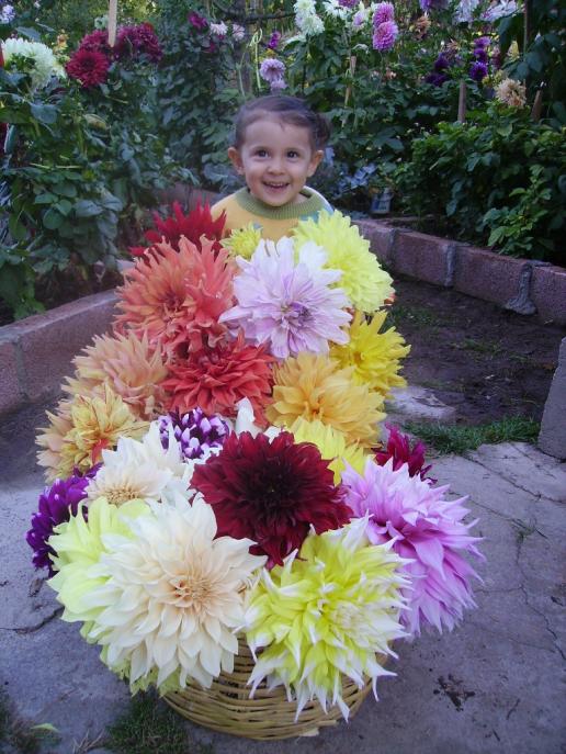 Name:  toplu.jpg
Views: 738
Size:  74.6 KB