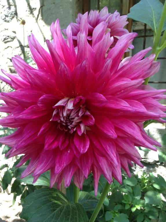 Name:  d-4.jpg
Views: 790
Size:  73.8 KB
