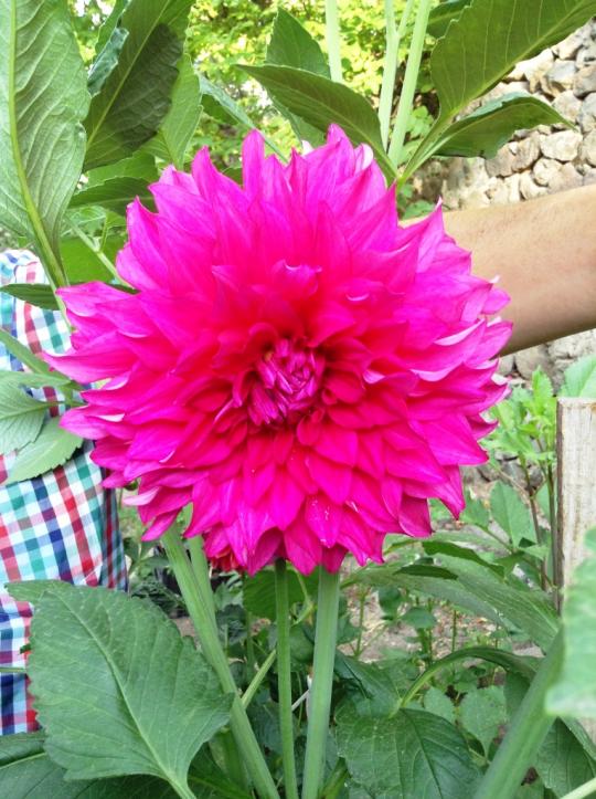 Name:  d-9.jpg
Views: 933
Size:  75.9 KB