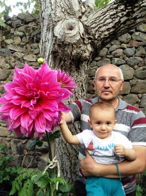 Name:  dahlia 100.jpg
Views: 831
Size:  77.6 KB