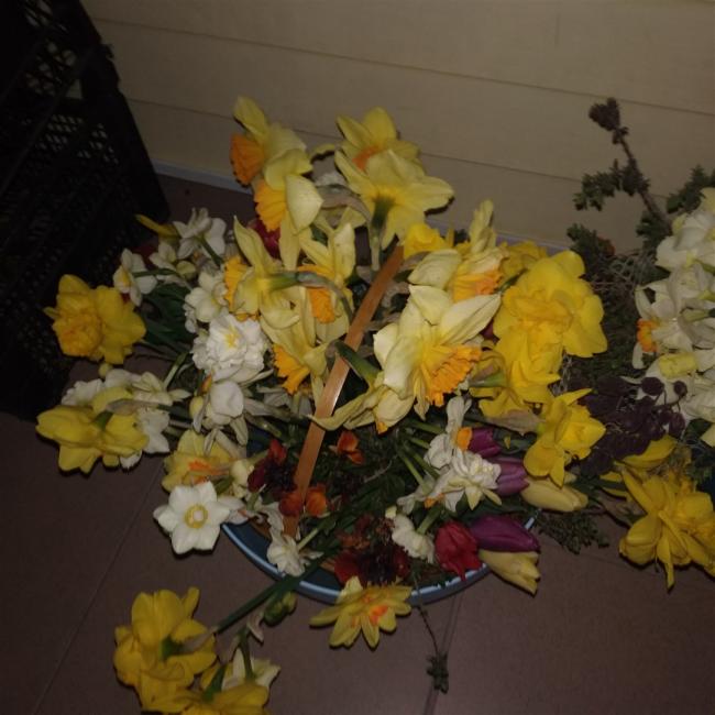 Name:  IMG_20190420_211744.jpg
Views: 650
Size:  49.0 KB