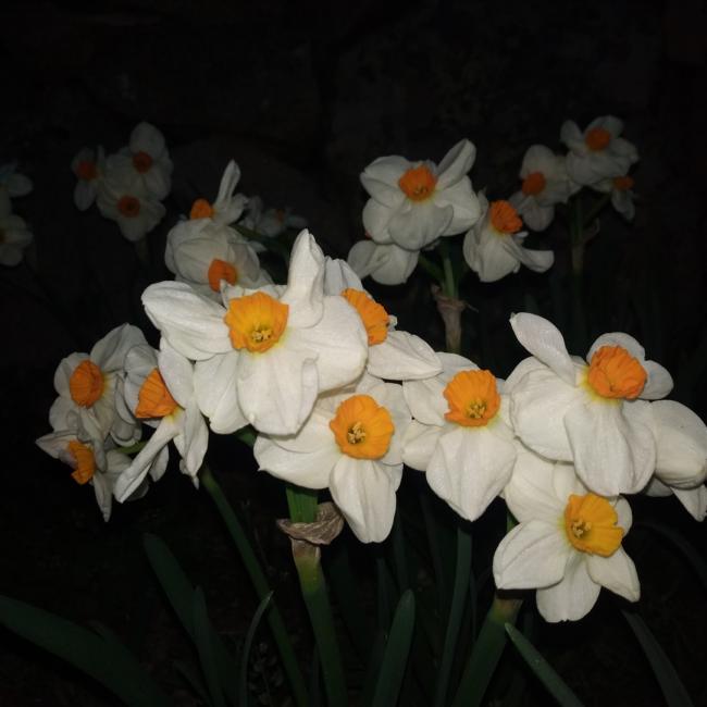 Name:  IMG_20190425_195151.jpg
Views: 640
Size:  35.9 KB