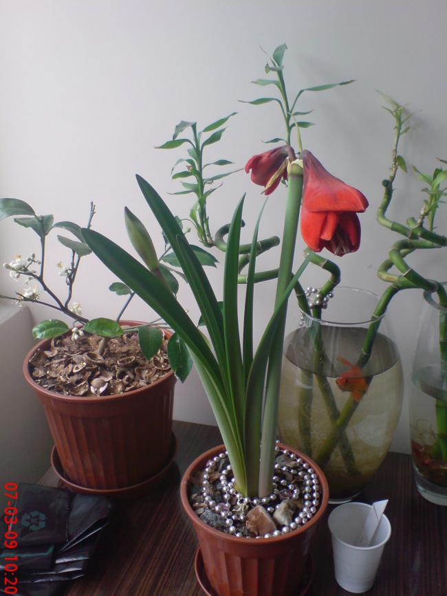 Name:  Resim(Ouzhan) 060.jpg
Views: 1074
Size:  63.8 KB
