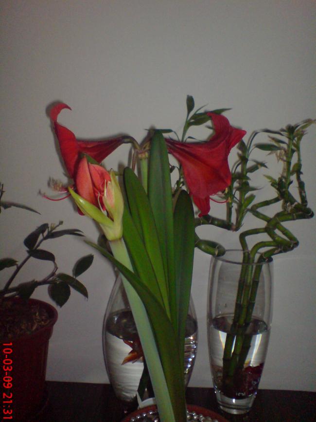 Name:  Resim(Ouzhan) 061.jpg
Views: 1070
Size:  52.3 KB