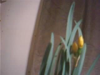 Name:  Resim 029.jpg
Views: 1053
Size:  6.1 KB