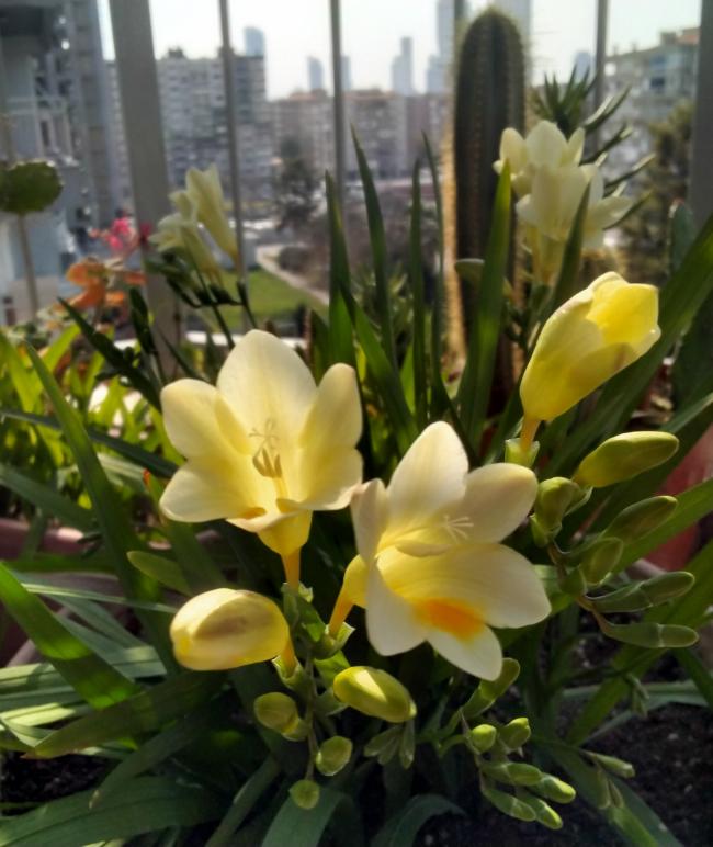 Name:  20210228_142126.jpg
Views: 315
Size:  60.5 KB