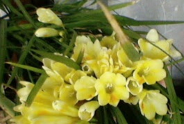Name:  20210215_093844.jpg
Views: 309
Size:  20.4 KB