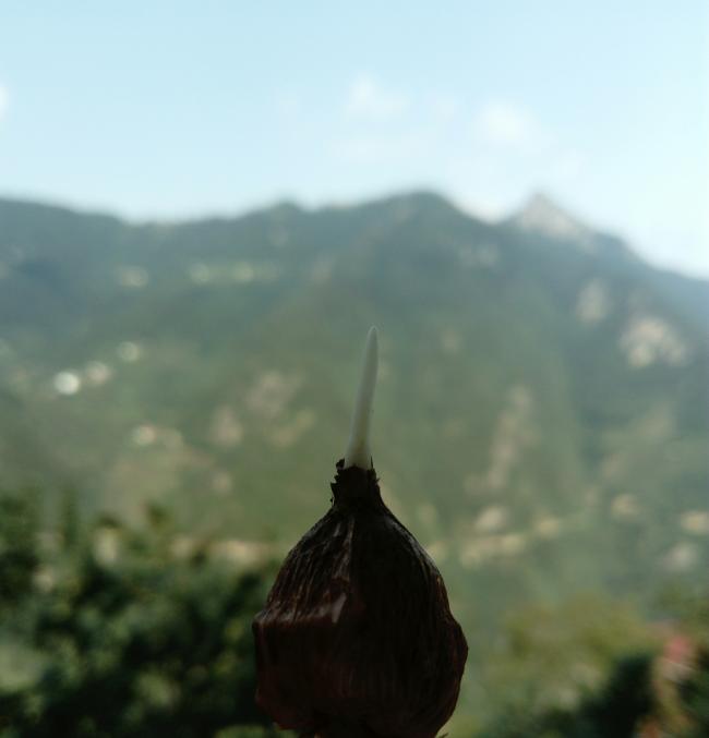 Name:  _20210825_094458.jpg
Views: 399
Size:  21.8 KB