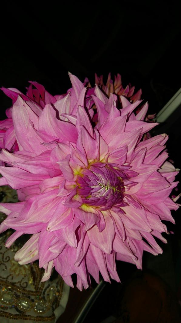Name:  20211009_194147_copy_2241x3984.jpg
Views: 707
Size:  72.4 KB