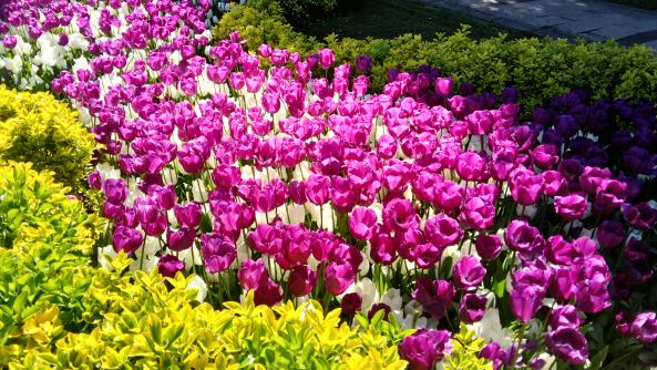Name:  DSC_0069.jpg
Views: 124
Size:  71.9 KB