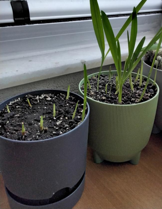 Name:  20251108_133855.jpg
Views: 2
Size:  69.9 KB