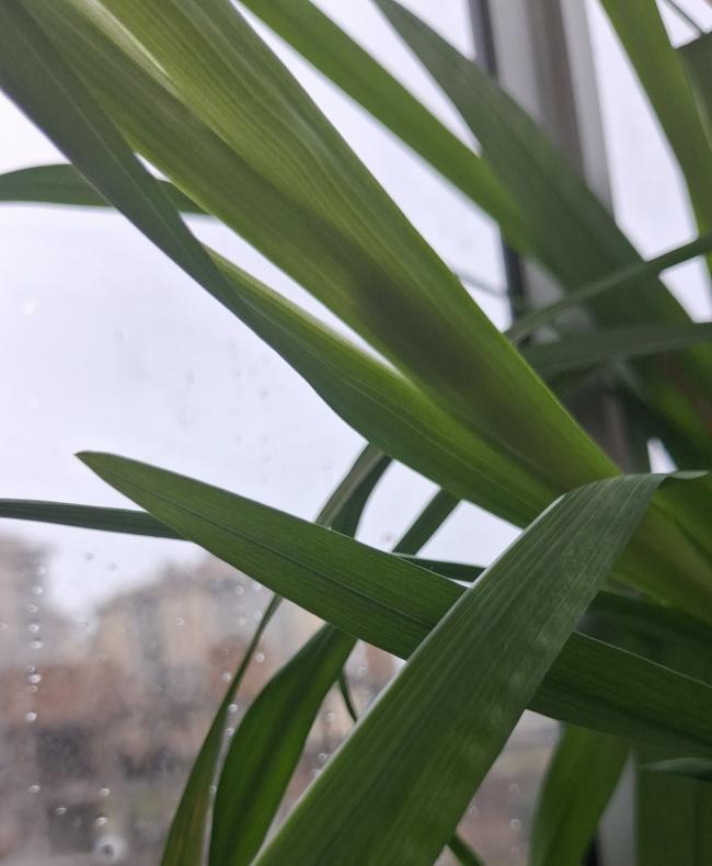 Name:  20260209_115356.jpg
Views: 9
Size:  45.5 KB