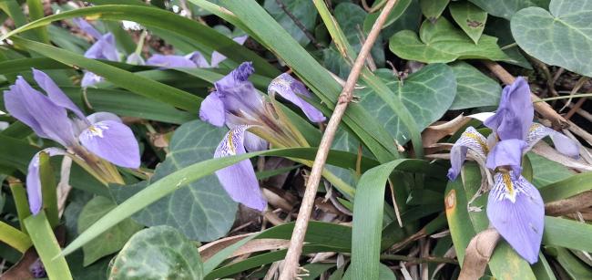 Name:  20260303_134353.jpg
Views: 3
Size:  46.0 KB