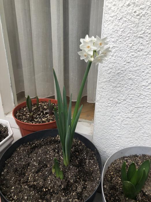 Name:  IMG_6820.jpg
Views: 10
Size:  72.8 KB