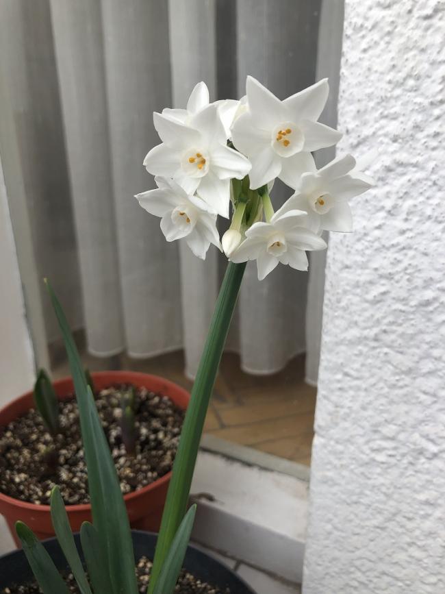 Name:  IMG_6821.jpg
Views: 10
Size:  54.6 KB