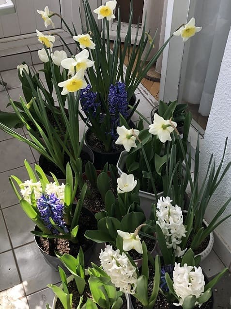 Name:  IMG_7935.jpg
Views: 6
Size:  61.4 KB