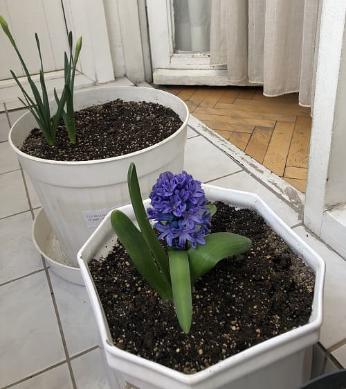 Name:  IMG_6870.jpg
Views: 6
Size:  44.7 KB