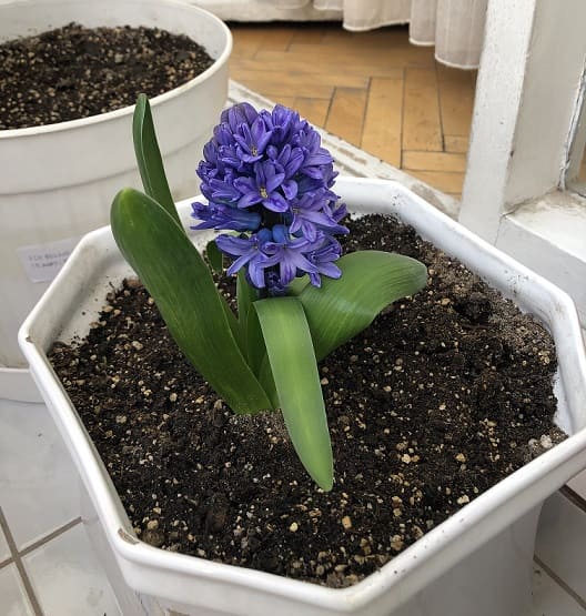 Name:  IMG_6869.jpg
Views: 6
Size:  51.4 KB