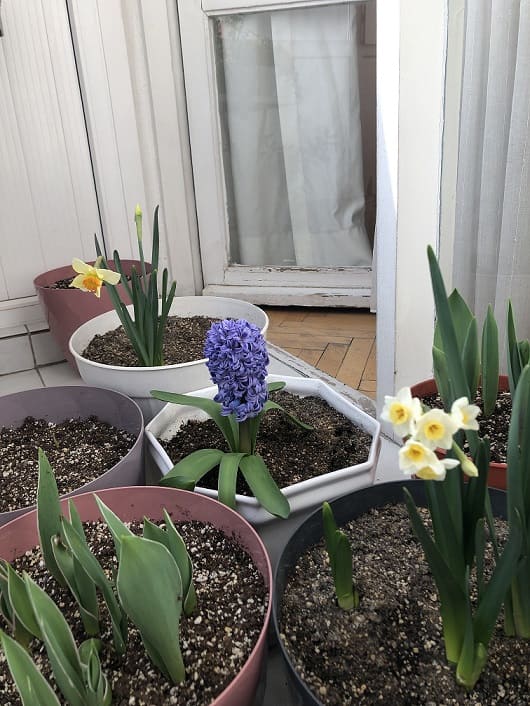 Name:  IMG_6896 (1).jpg
Views: 11
Size:  64.1 KB