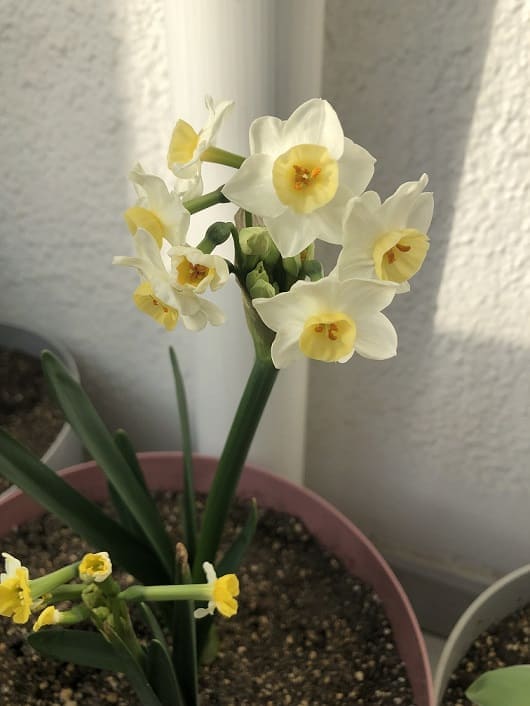 Name:  IMG_6897 (2).jpg
Views: 11
Size:  34.3 KB