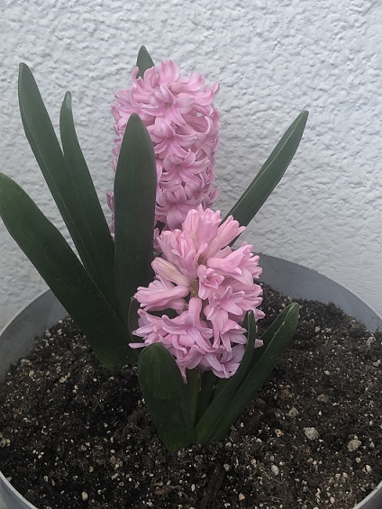 Name:  IMG_6960.jpg
Views: 4
Size:  114.8 KB