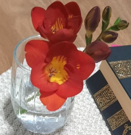 Name:  IMG_20260404_221958_647.jpg
Views: 7
Size:  66.3 KB