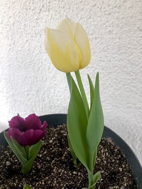 Name:  IMG_7034.jpg
Views: 5
Size:  118.4 KB