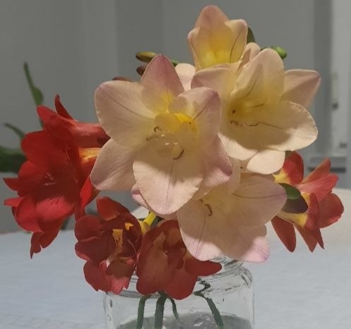 Name:  IMG_20260428_202047_955.jpg
Views: 7
Size:  46.9 KB