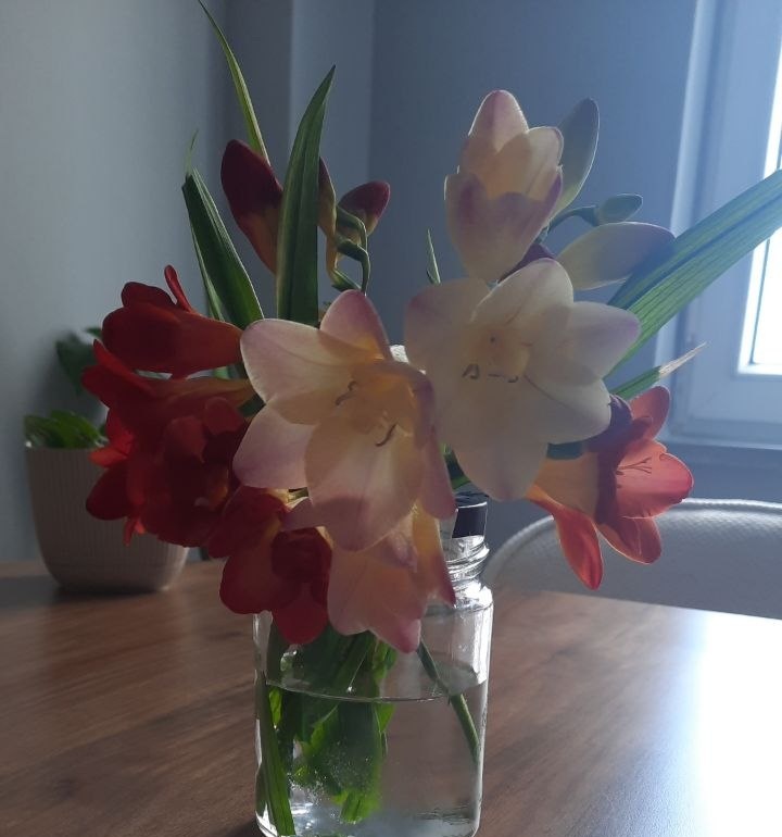 Name:  IMG_20260428_202051_058.jpg
Views: 7
Size:  74.4 KB