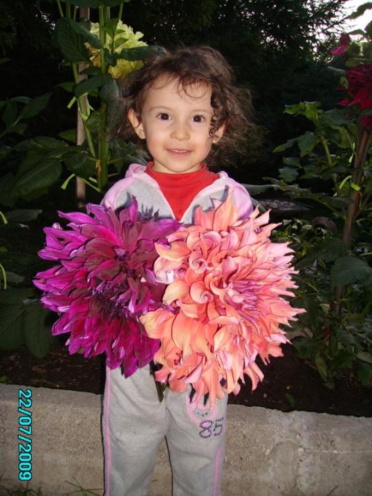 Name:  idem en son.jpg
Views: 1216
Size:  68.5 KB