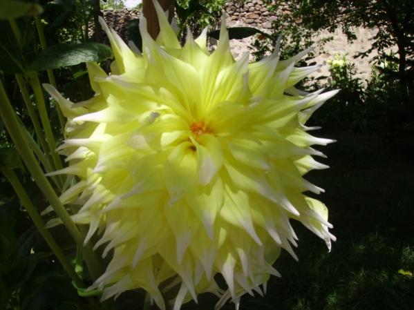 Name:  soan 9.jpg
Views: 1172
Size:  40.4 KB
