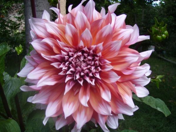 Name:  soan 11.jpg
Views: 1257
Size:  46.0 KB