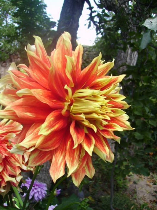 Name:  soan 12.jpg
Views: 1208
Size:  68.7 KB