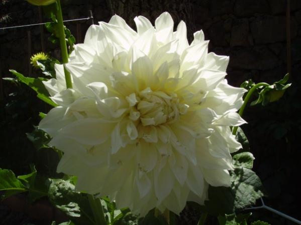 Name:  soan 13.jpg
Views: 1217
Size:  31.3 KB
