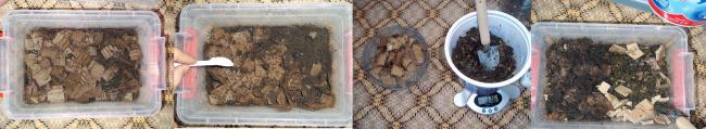 Name:  agaclar174.jpg
Views: 2598
Size:  22.4 KB