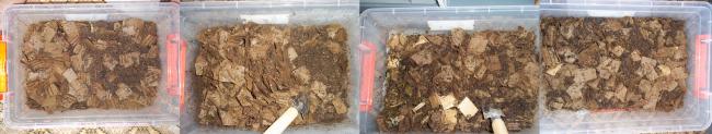 Name:  agaclar175.jpg
Views: 2592
Size:  21.5 KB