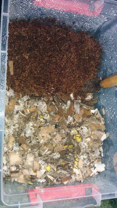 Name:  agaclar211.jpg
Views: 2961
Size:  72.8 KB