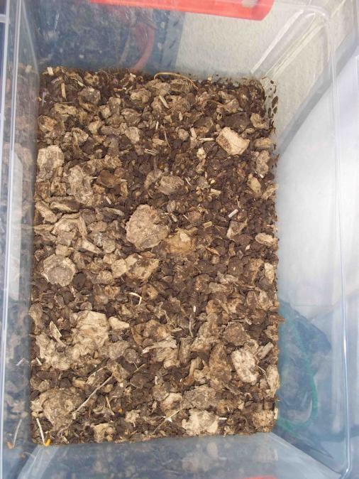 Name:  agaclar216.jpg
Views: 2319
Size:  73.5 KB