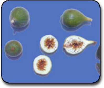 Name:  hacimestan.jpg
Views: 5787
Size:  18.0 KB
