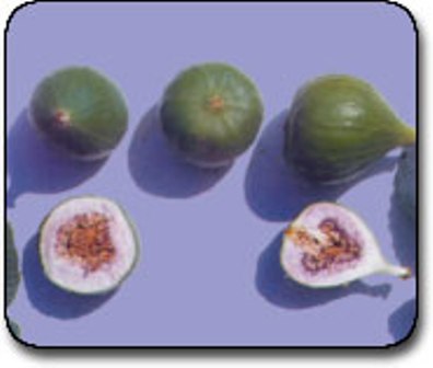 Name:  mordemirtas.jpg
Views: 6396
Size:  18.4 KB