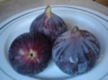 Name:  B.SYAHI4.JPG
Views: 7079
Size:  68.3 KB