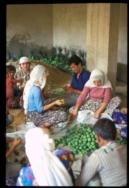 Name:  turcscapri2.jpg
Views: 6873
Size:  52.4 KB