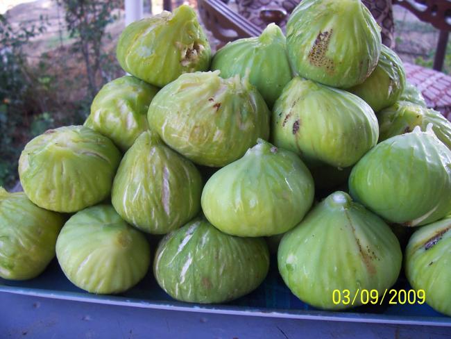 Name:  erayincir.jpg
Views: 9166
Size:  48.7 KB
