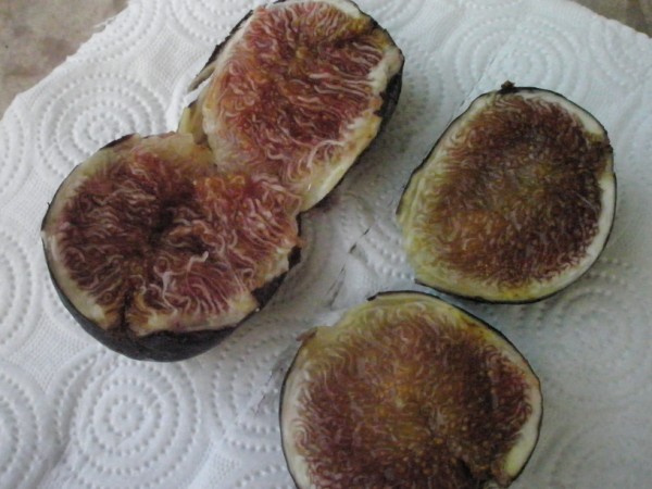Name:  gler hanm bursa siyah1.jpg
Views: 1771
Size:  65.7 KB