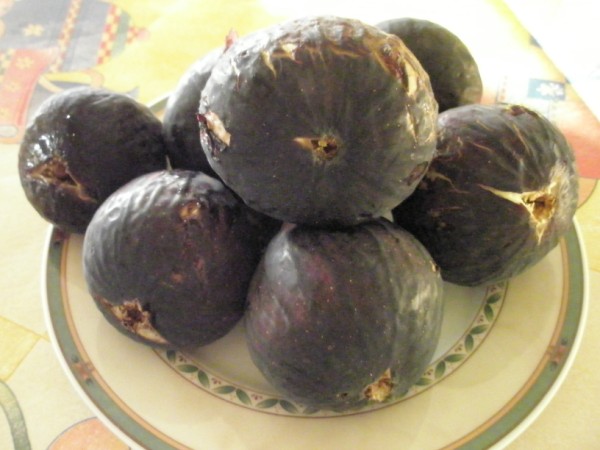 Name:  gler hanm bursa siyah.jpg
Views: 1866
Size:  56.6 KB