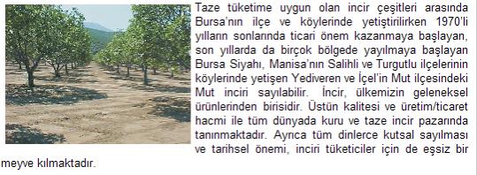 Name:  2.jpg
Views: 3363
Size:  40.0 KB