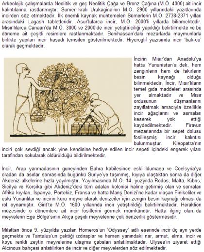 Name:  5.jpg
Views: 3368
Size:  72.8 KB
