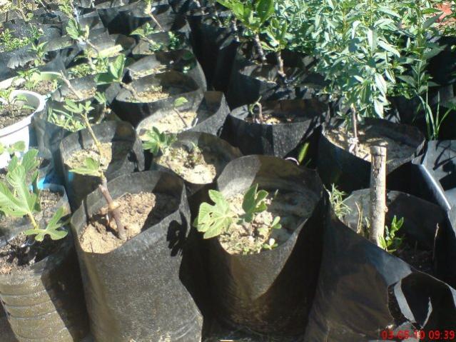 Name:  DSC00169.jpg
Views: 2761
Size:  67.9 KB