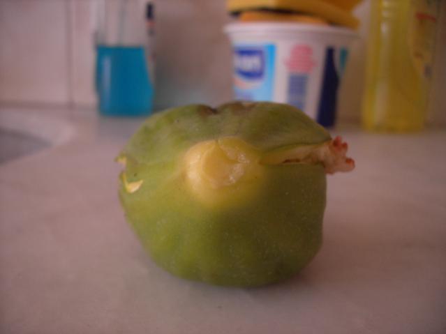 Name:  PICT0067.jpg
Views: 1633
Size:  16.4 KB